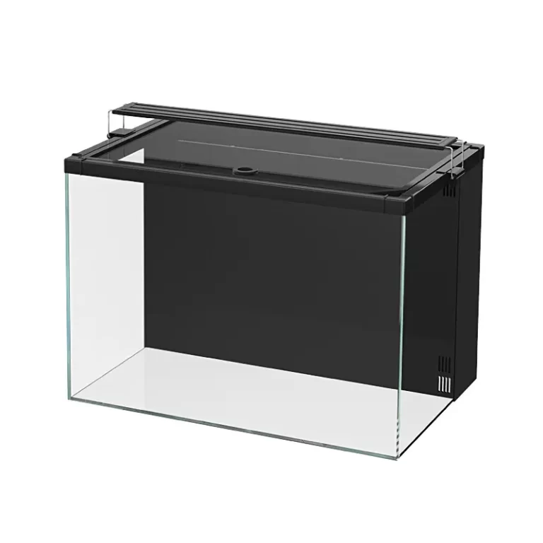 beginners' fish tank