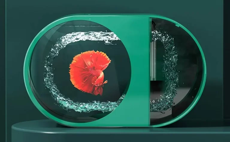 betta-fish-in-a-mini-fish-tank