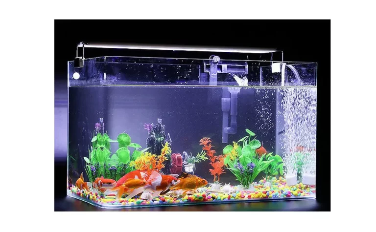 fish-tank-with-gold-fish