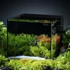 beautiful setup rear filtering fish tank beautiful setup rear filtering fish tank